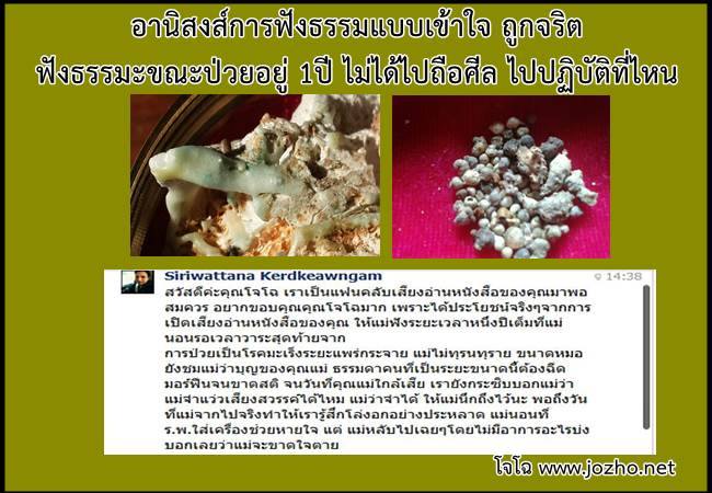 ตัวอย่างกิจกรรมบุญ