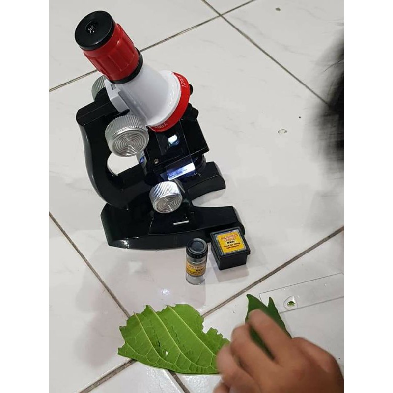 กล้องจุลทรรศน์เด็ก กล้องส่องเซลล์เด็ก อุปกรณ์เรียนรู้วิทยาศาสตร์เด็ก พร้อมส่งจากไทย