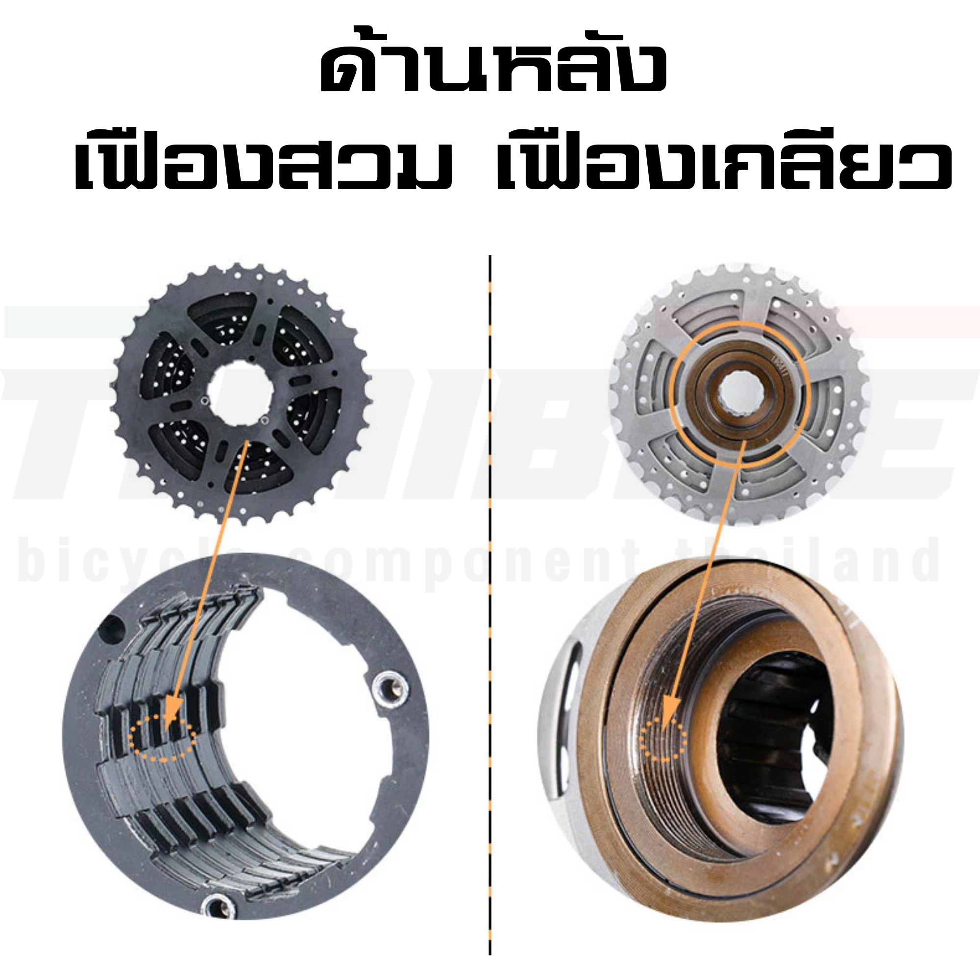 เครื่องมือถอดเฟืองจักรยาน ตัวถอดเฟืองสวม เฟืองเกลียว SHIMANO