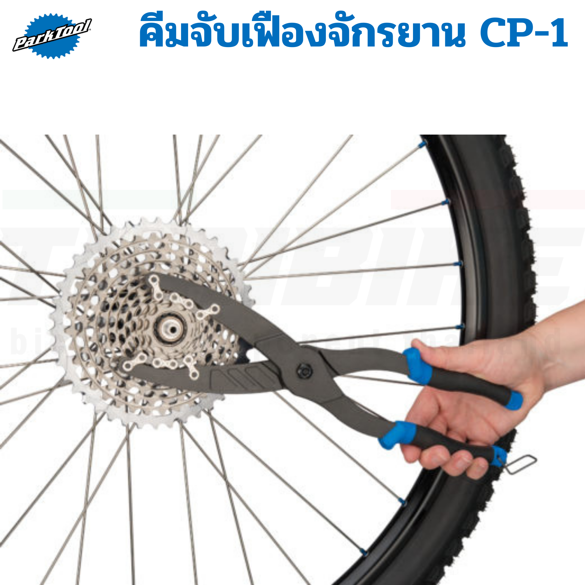 Park Tool CP-1 คีมจับเฟืองจักรยาน ประแจโซ่ ใช้จับเฟืองขณะถอดล็อคลิง
