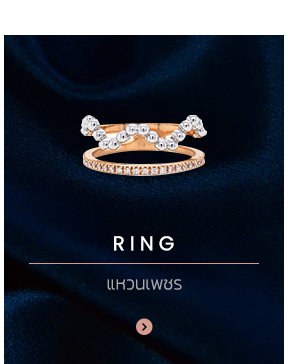 Earring : ต่างหู pendant & chain : จี้ และสร้อยเพชร bracelet : กำไลเพชร ring : แหวนเพชร