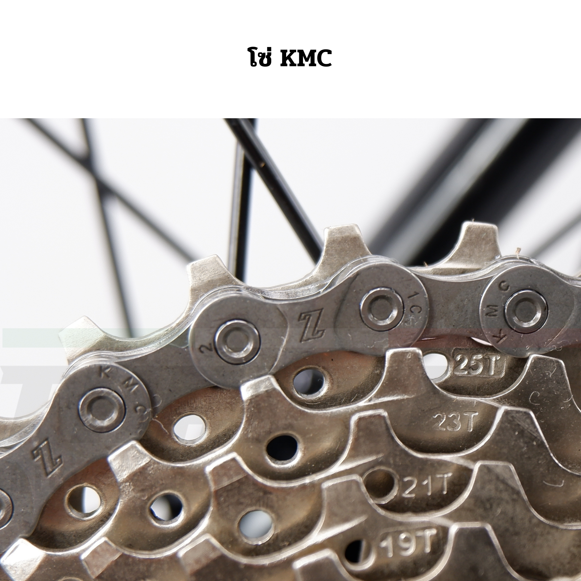 จักรยานเสือหมอบอลูมิเนียม เกียร์ SHIMANO SORA BACKER A2