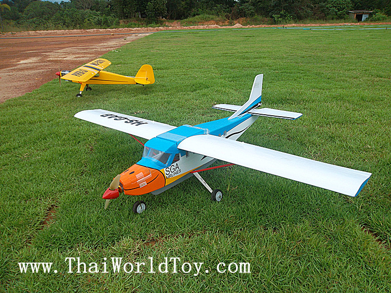 CESSNA นกแอร์ caravan