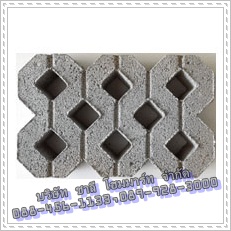 บล็อกปูหญ้า-หน้าหยาบ