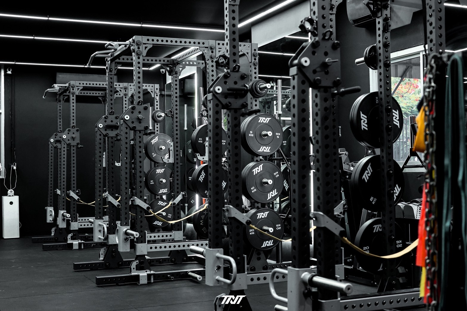 TNT Sports Enhancement