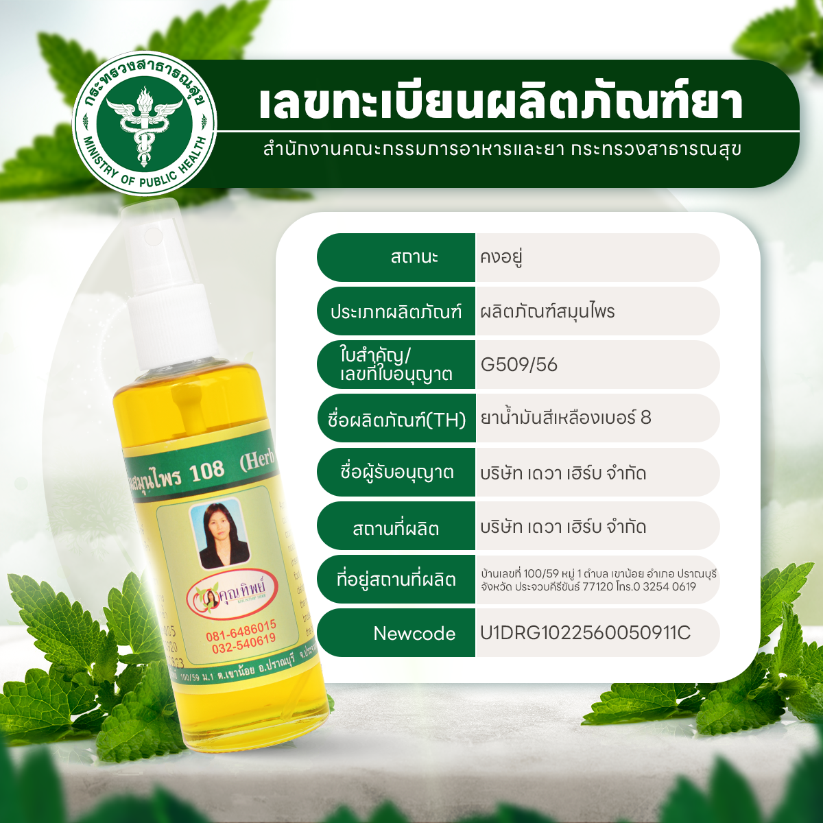 ยาน้ำมันเหลือง เบอร์ 8 ยาน้ำมันนวดสีเหลือง ตราคุณทิพย์ ขนาด 50 มล. (Khunthip Ya Yellow Herbal Plai Oil No.8 50ml)