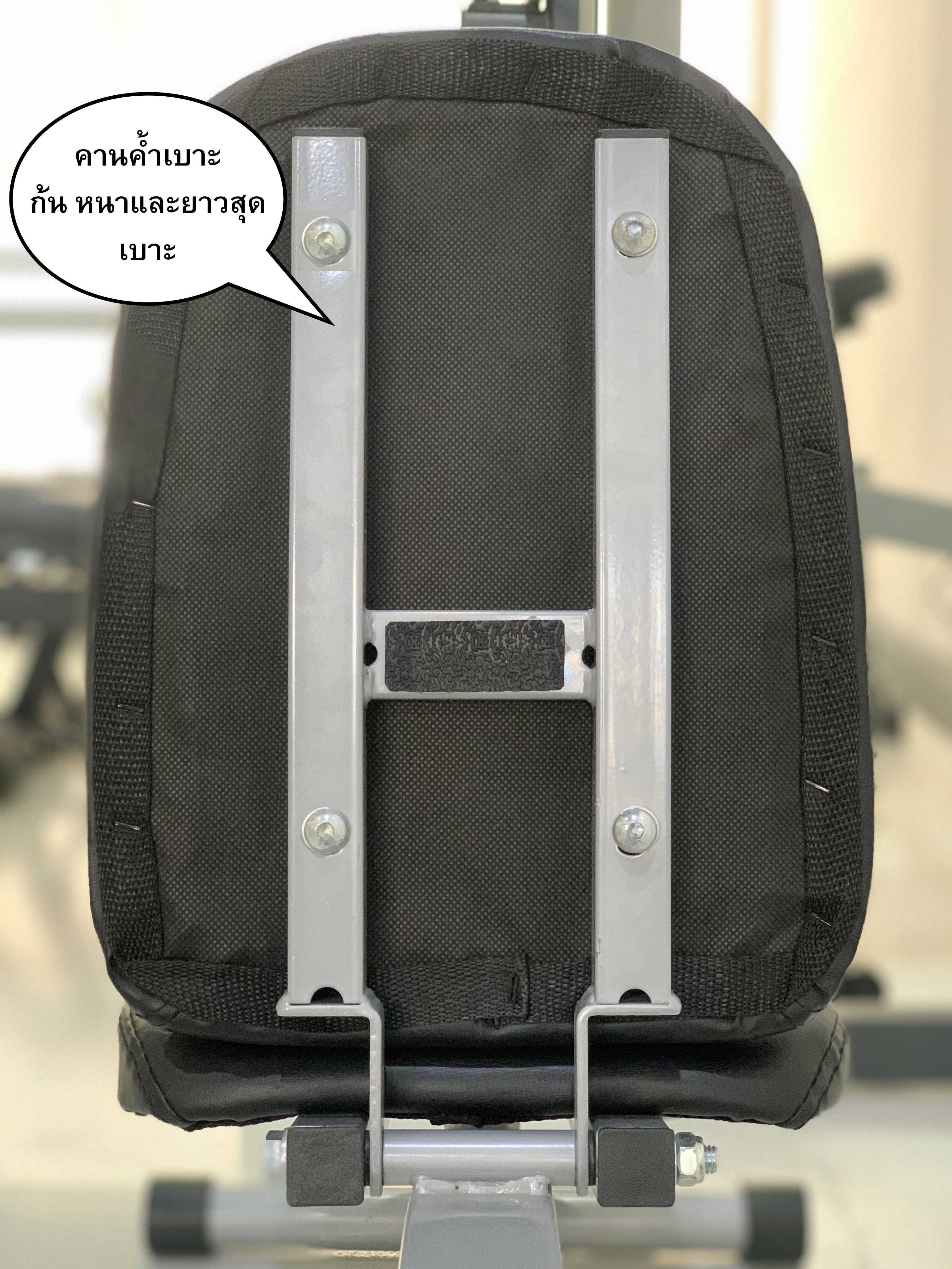 ม้าดัมเบลรุ่น IRON 213