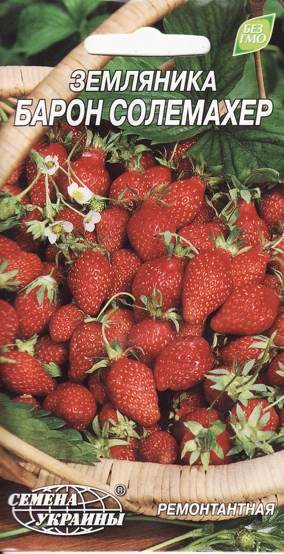 Strawberries Seeds Organic Berries Seed Baron Solemaher