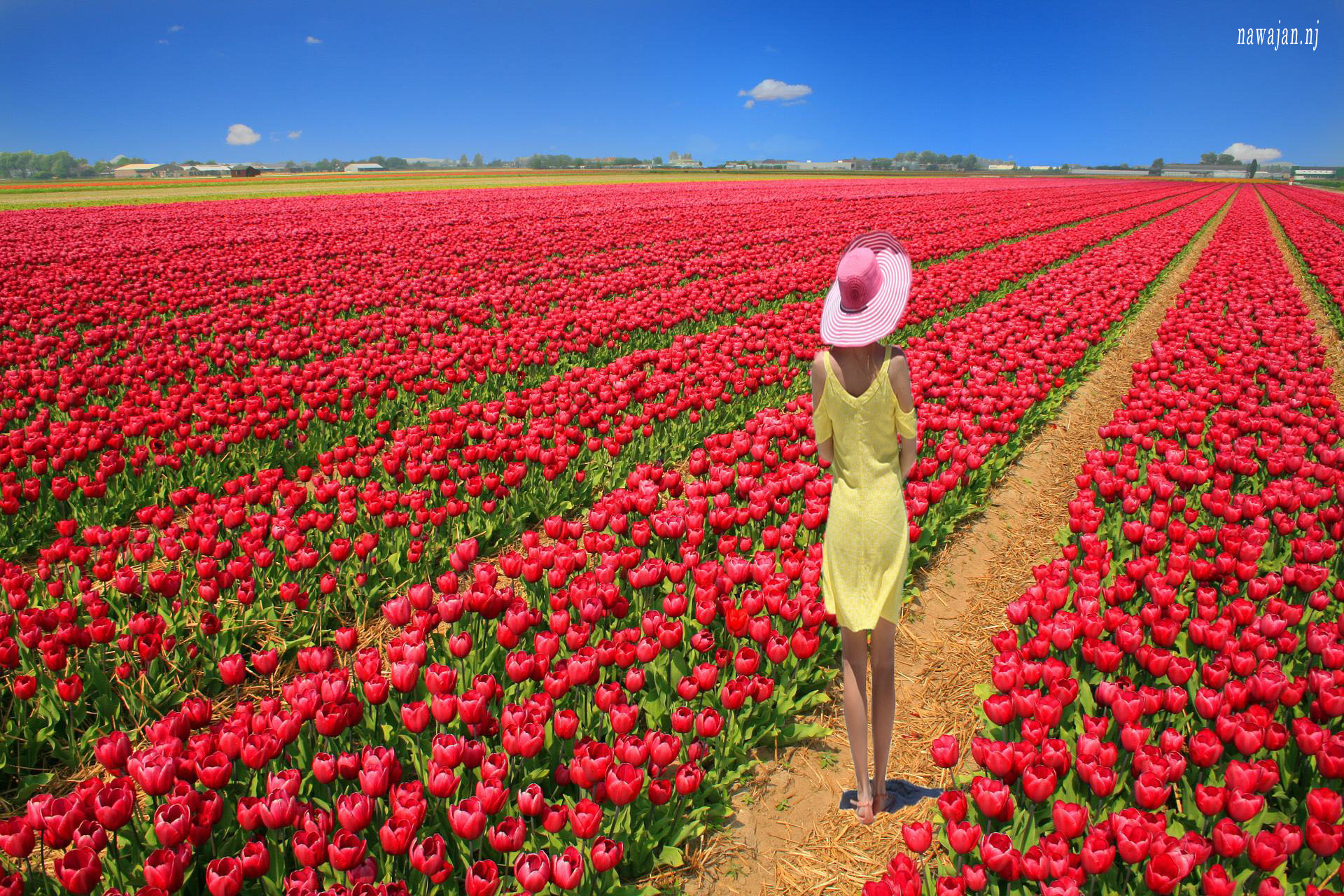 WallpapersFree-วอลเปเปอร์ฟรี03