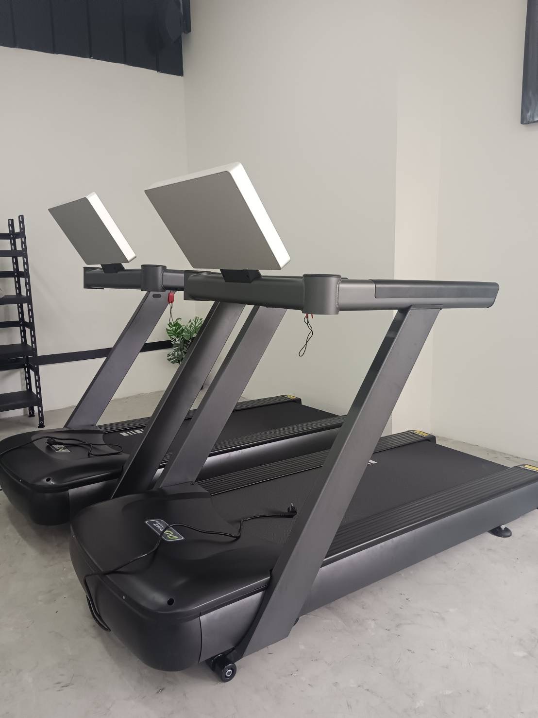 Fitness: เอส 365 ฟิตเนส