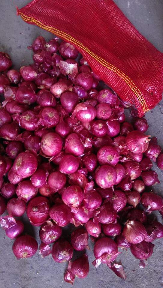 หอมแขก หอมแขกใหม่พร้อมส่ง หอมแขกสำหรับประกอบอาหาร