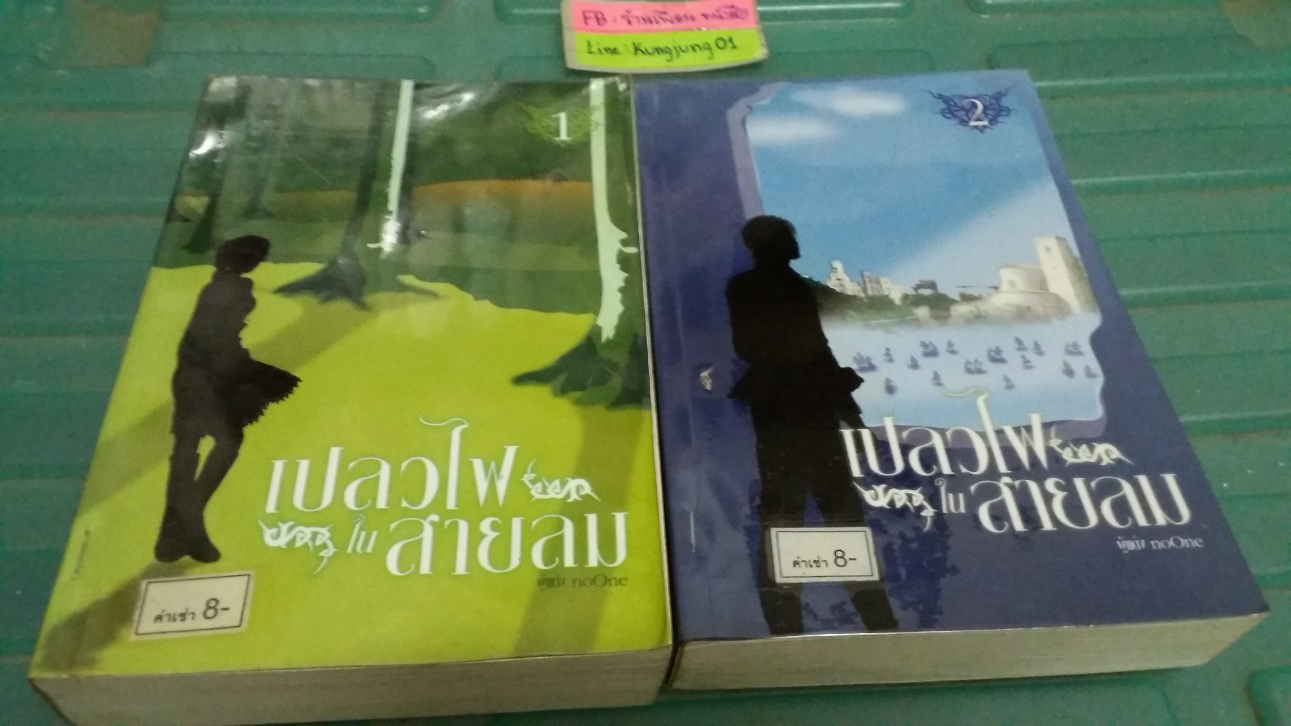 เปลวไฟในสายลม 2 เล่มจบ /noOne