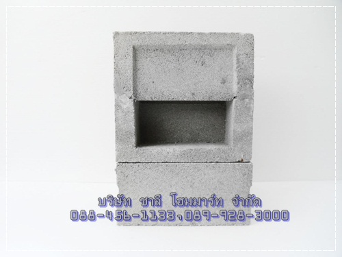 ช่องลมลิ้นคู่