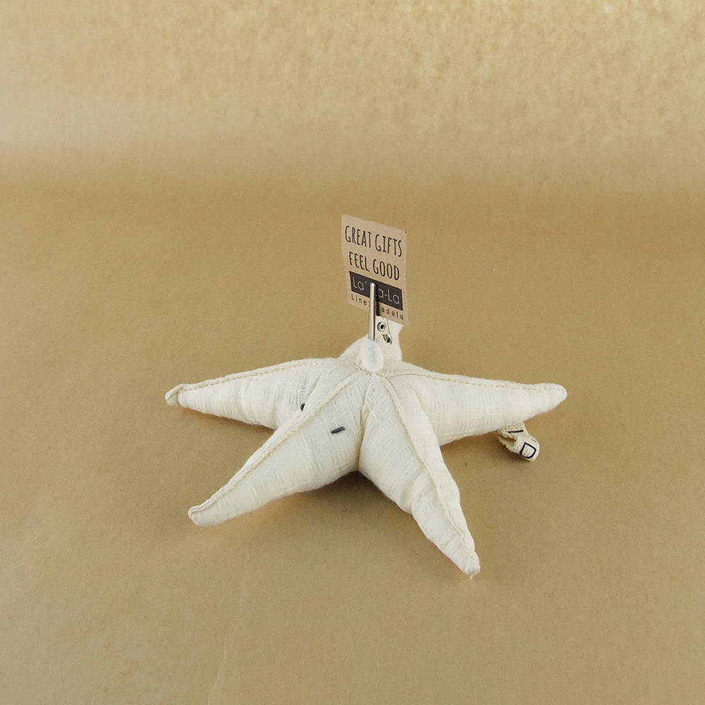 Zeaza Starfish Paperweight ที่ทับกระดาษ หนีบกระดาษ ปลาดาว ของขวัญวันเกิด ของขวัญรับปริญญา