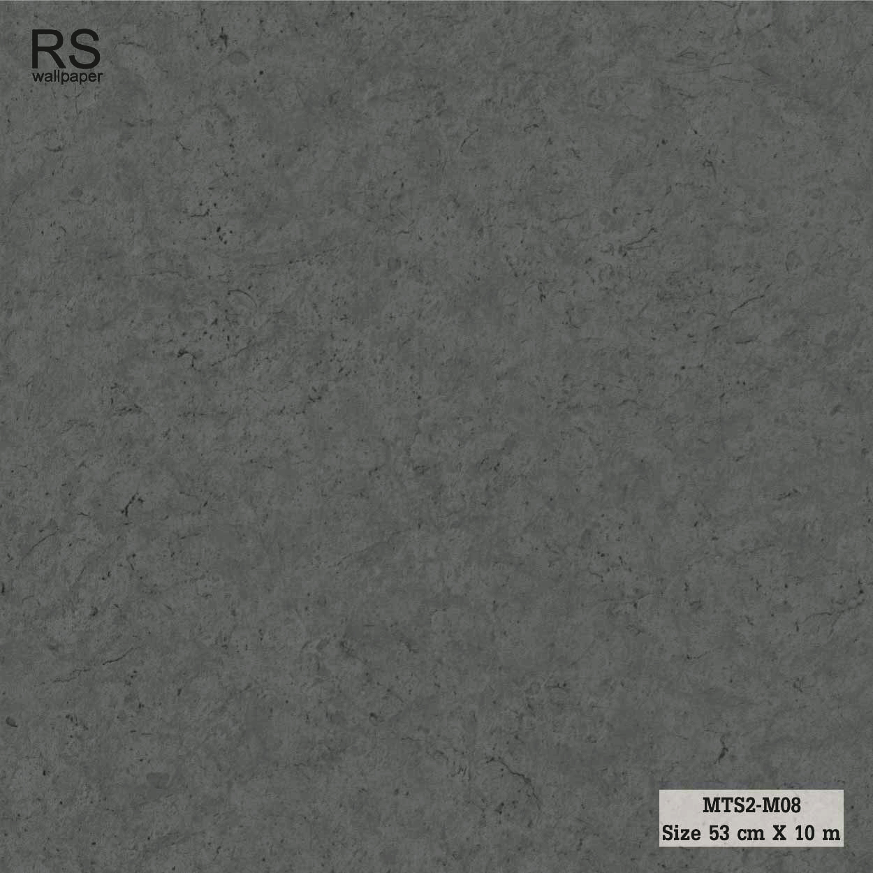 วอลเปเปอร์ ลายปุนเปลือยสีเทาเข้ม MTS2-M08