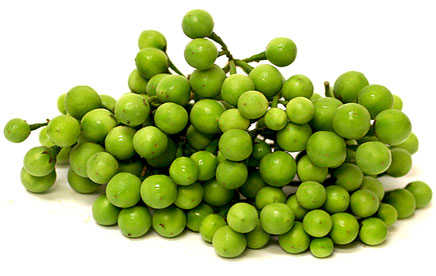 มะเขือพวงไร้หนาม Pea Eggplant