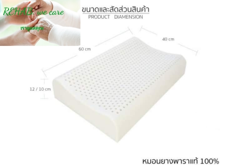 Rehab หมอนยางพารา curve หมอนรองคอ กันกรน
