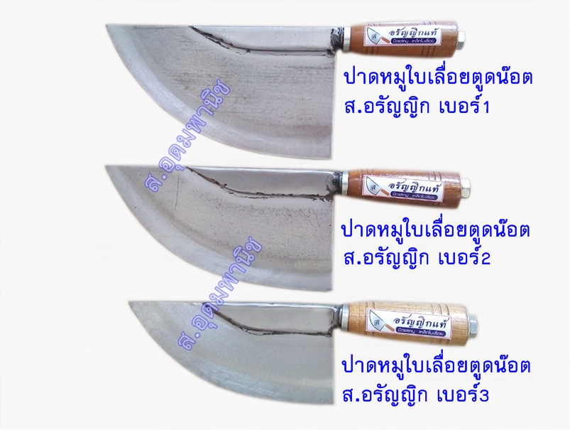 ปาดหมูใบเลื่อยตูดน๊อต ส.อรัญญิก#3