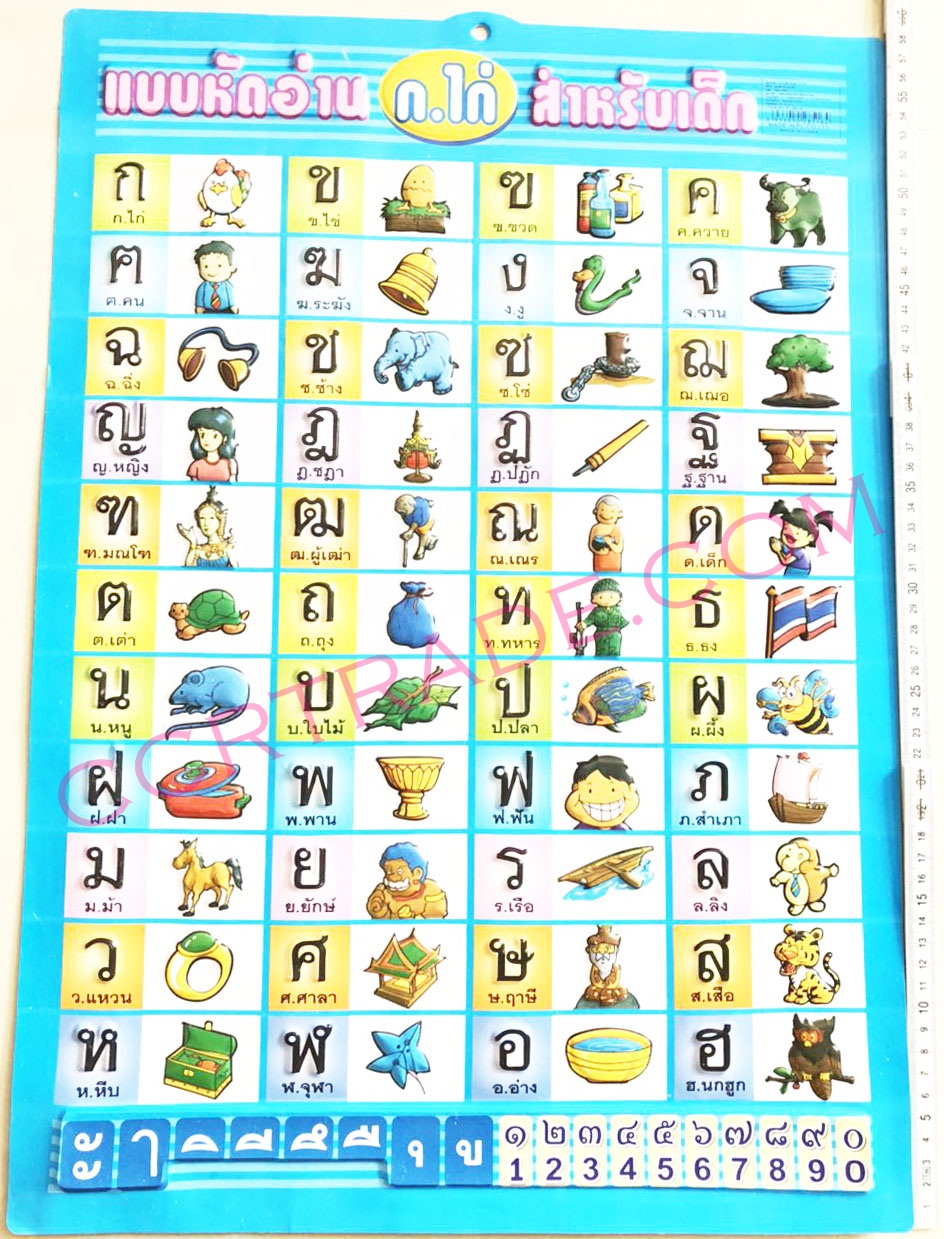 แผ่นฝึกอ่านจัมโบ้ กขค 41.5x58 ซม.