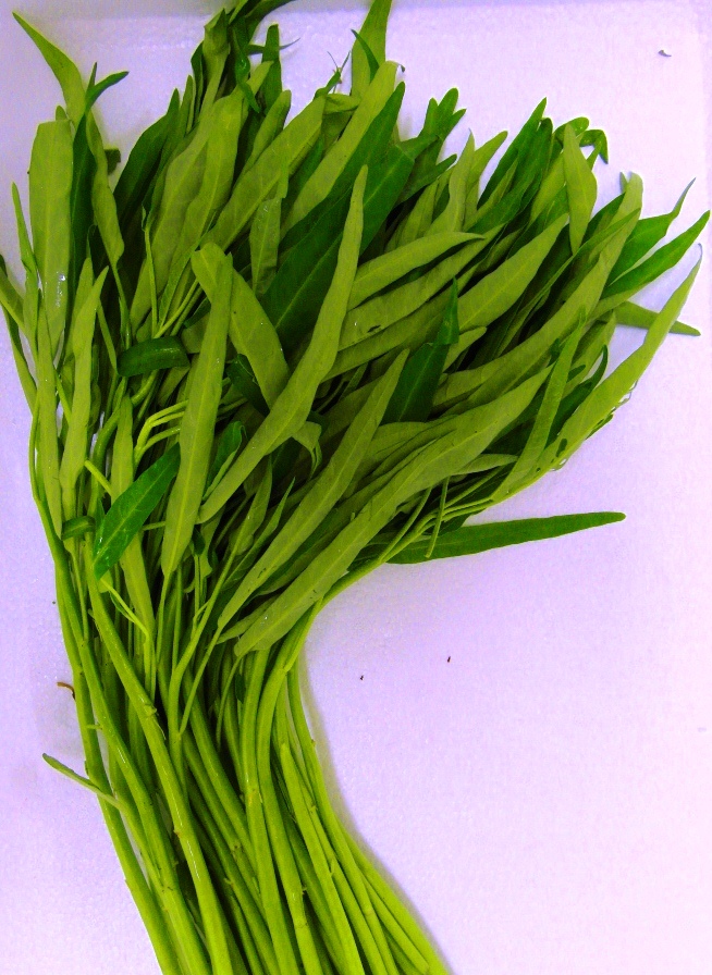 ผักบุ้งจีน (ใบไผ่) Chinese convolvulus