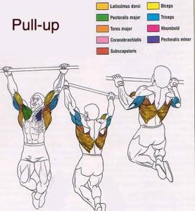 บาร์โหนติดประตู DOORWAY PULL UP BAR