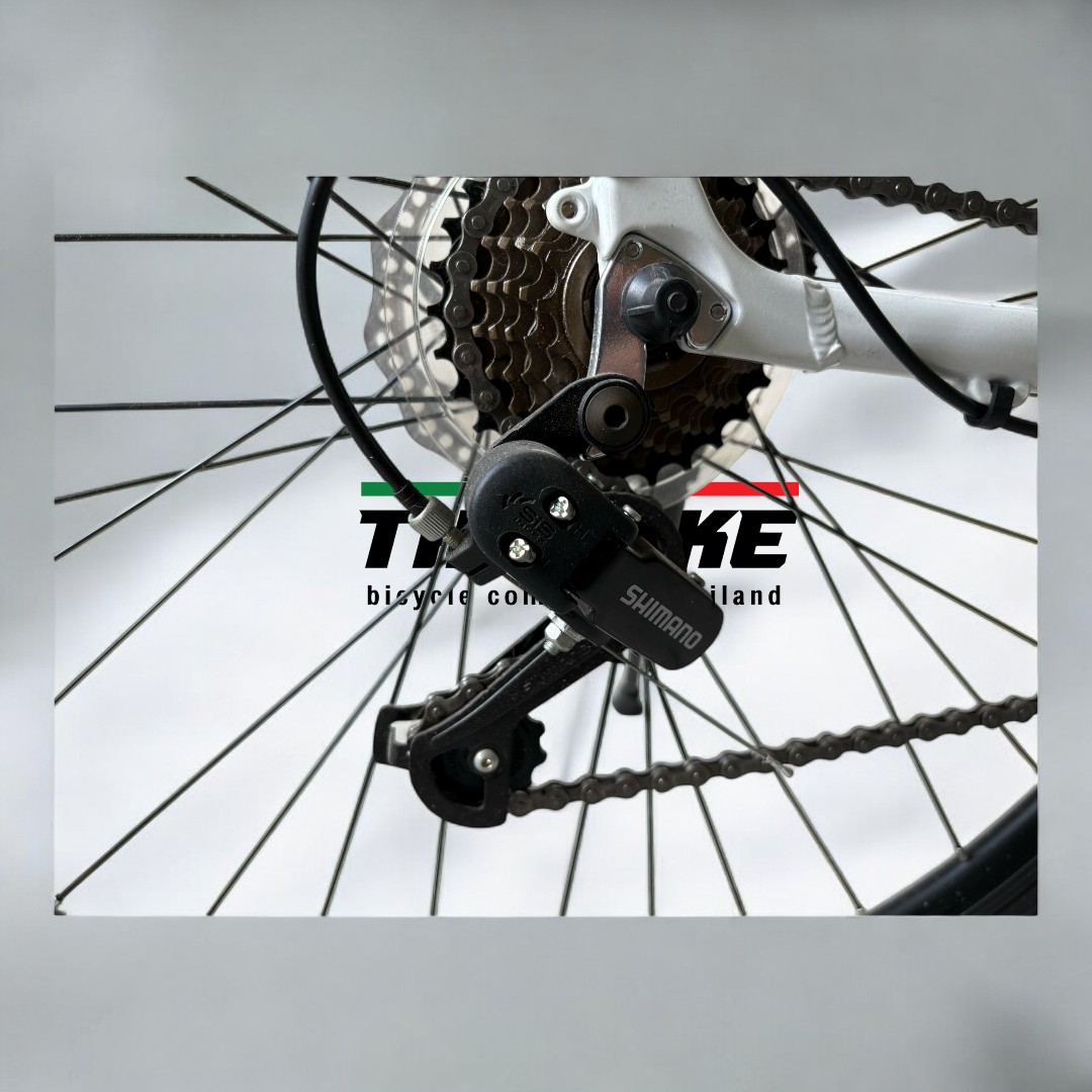 จักรยาน RICHTER รุ่น EFFECT (HYBRID) จักรยานไฮบริด อลูมิเนียม