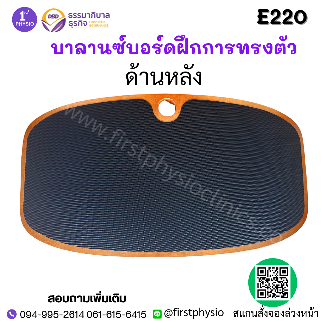 บาลานซ์บอร์ดฝึกการทรงตัว / FUNCTIONAL BALANCE BOARD