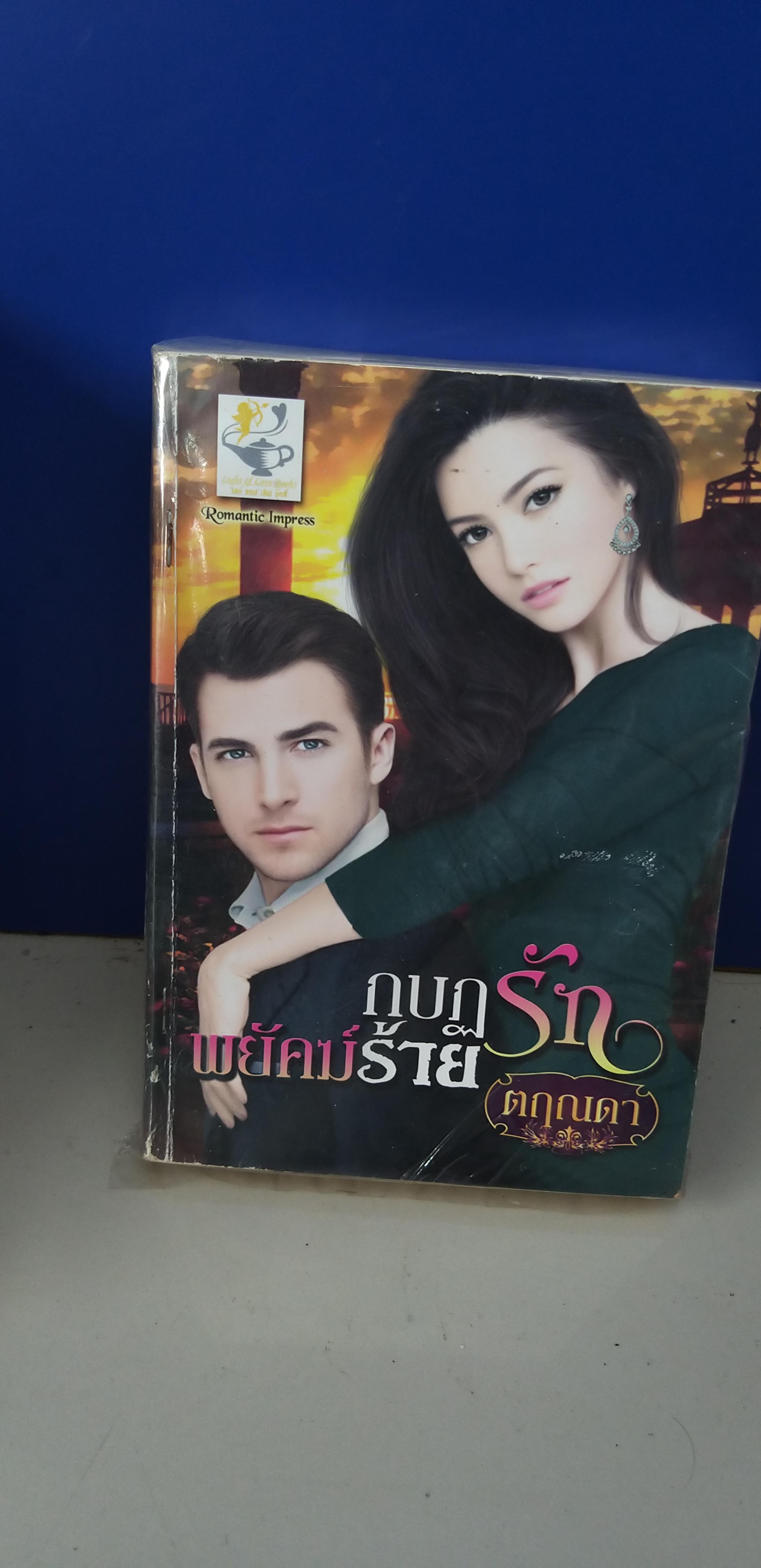กบฏรักพยัคฆ์ร้าย /ตฤณดา