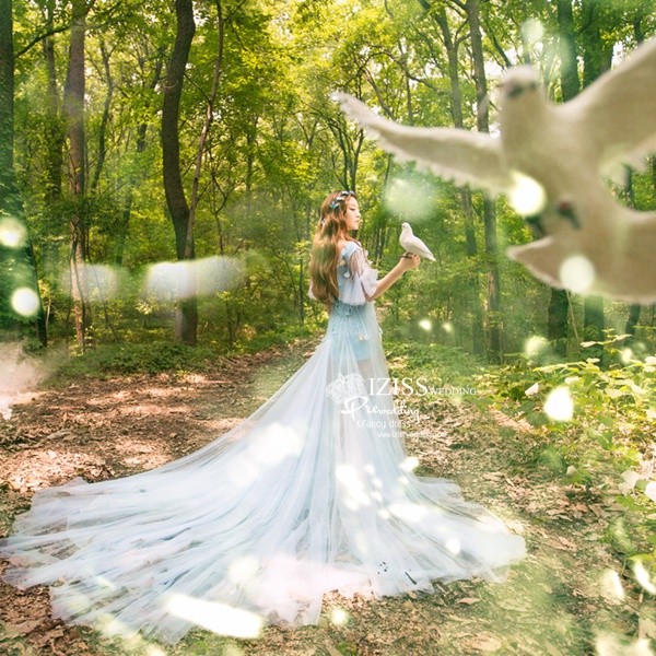 PW485- **พรีออเดอร์เฉพาะชุดผู้หญิง**ชุดแต่งงานแฟนซี ชุดเดรสสีฟ้า ชุดถ่ายพรีเวดดิ้ง (prewedding dress) & ชุดแต่งงานแฟนซี (Fancy wedding dress) "ธีมสีฟ้า"