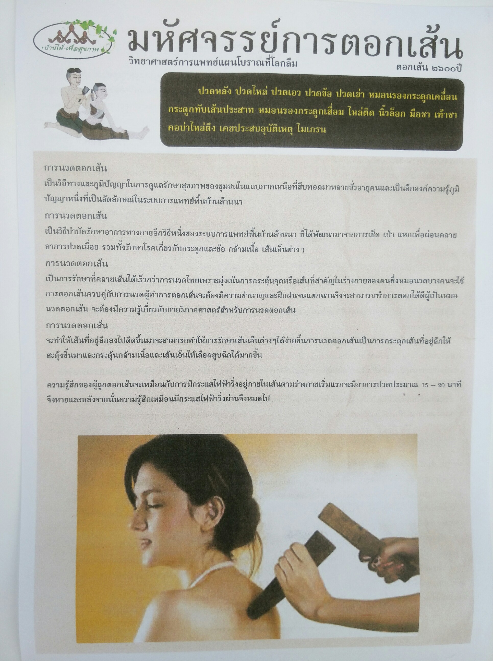 ไม้ตอกเส้นอย่างดี 3 ชิ้น