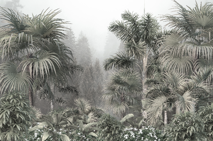 วอลเปเปอร์ภาพป่าเขตร้อน Tropical (สั่งผลิต)