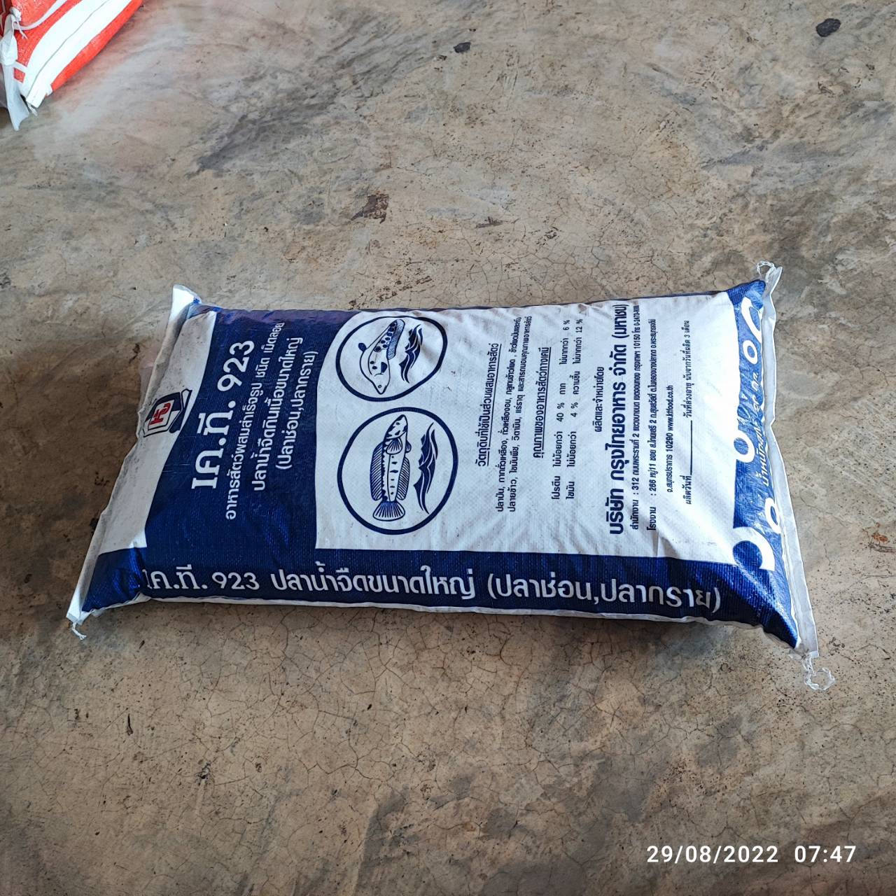 อาหารปลาช่อน ปลากราย KT 923 ปริมาณโปรตีน 40 % สำหรับปลาใหญ่ บรรจุ 20 กก (ปลาหลิม ในภาษาเหนือ)