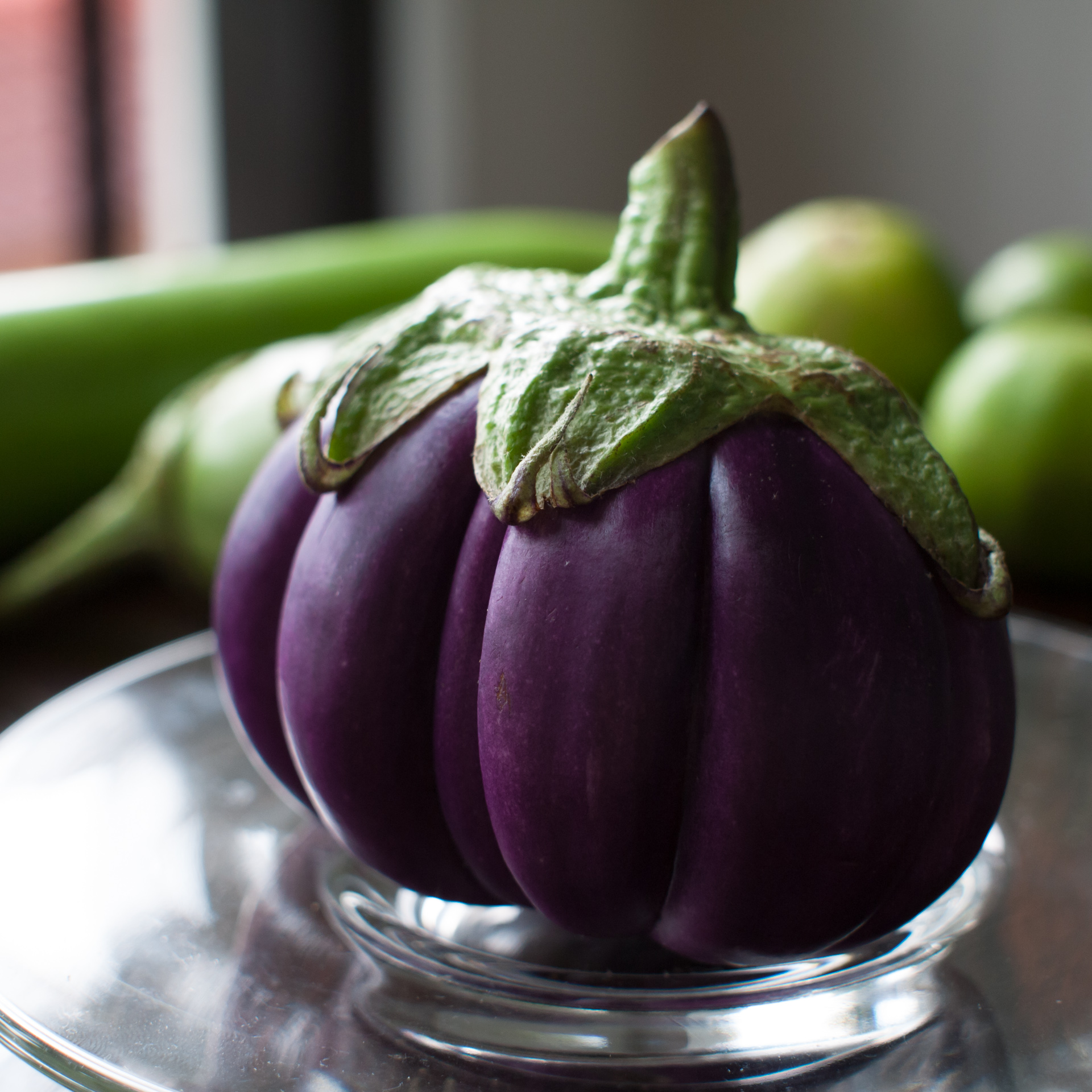 มะเขือจานสีม่วง EGG PLANT