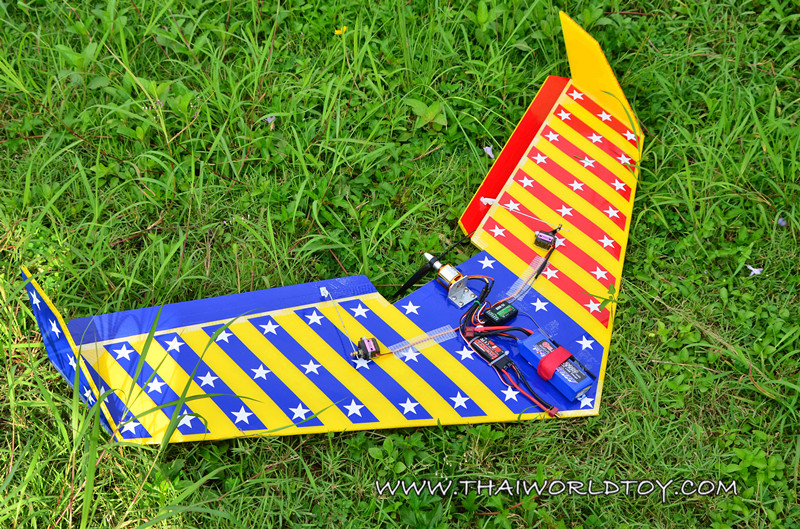 ปีกบินบังคับ 1,000MM.