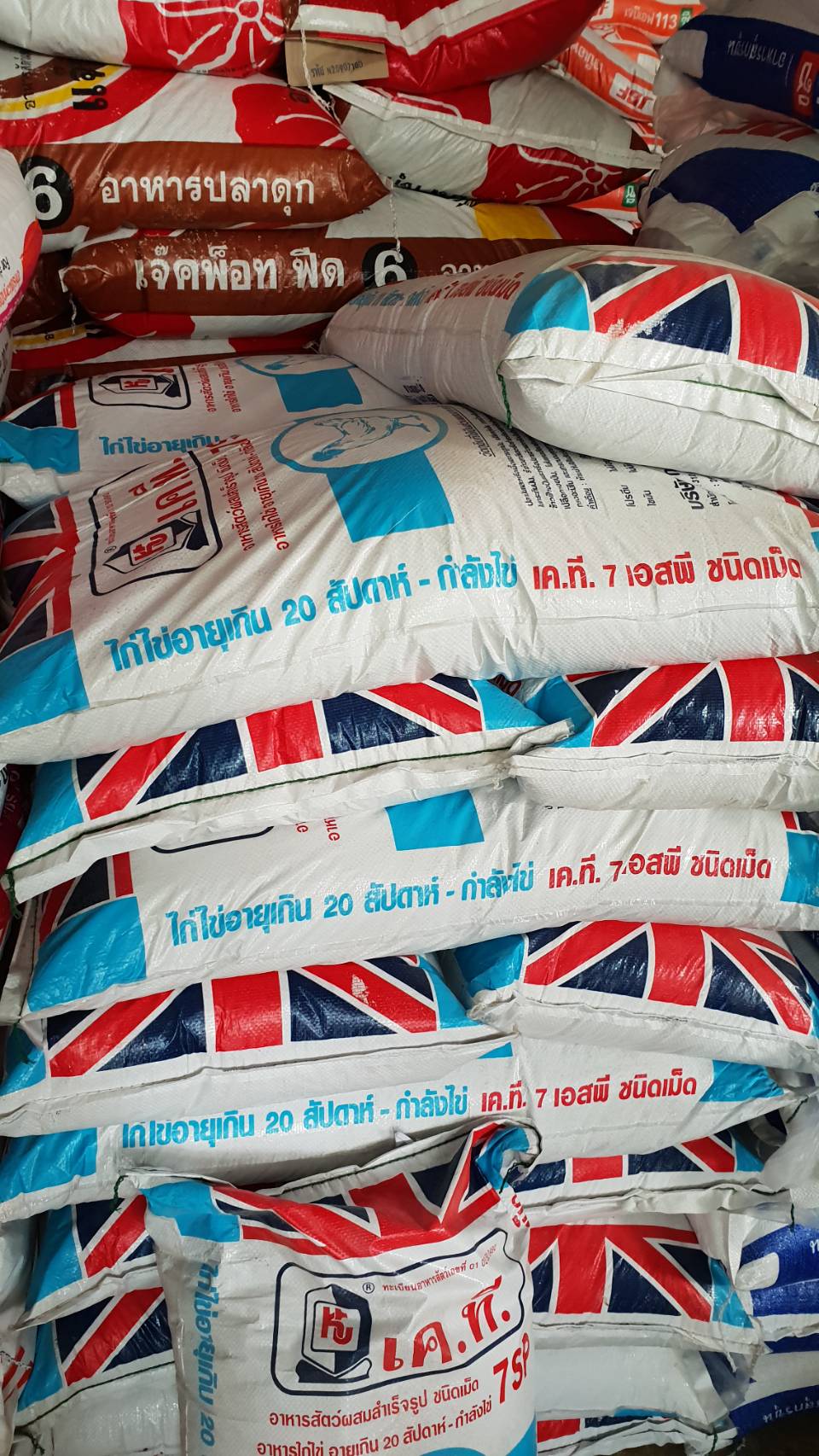 อาหารไก่ไข่ KT7S ระยะไข่ 20 สัปดาห์ขึ้น 17 โปรตีน เค.ที.7เอส ชนิดเม็ด