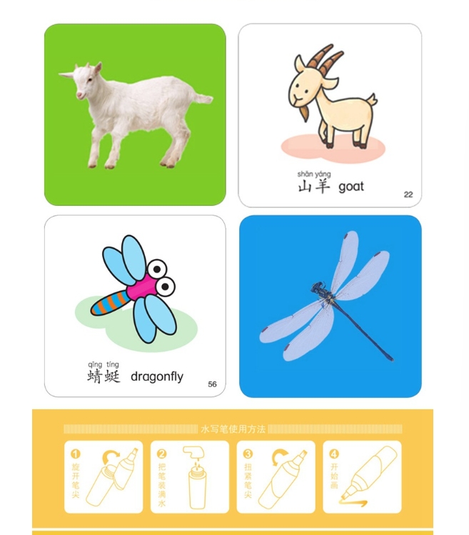 การ์ดคำศัพท์ หมวยานพาหนะ