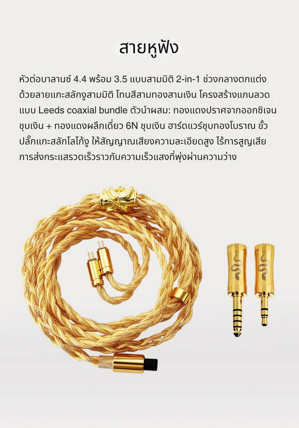 Ear Acoustic Audio VSA LTD หูฟัง IEMs ไดรเวอร์ Dynamic ไดอะแฟรมชุบไทเทเนียม ประกันศูนย์ไทย
