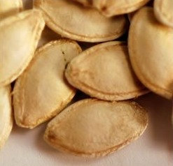 Cucurbita pepo Ornamental Gourd Ornamentalgourd Pumpkin Vegetable(10) เมล็ดผักทอง Cucurbita pepo 10 เมล็ด