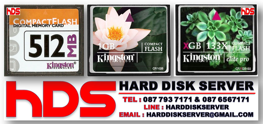 KINGSTON Compact Flash Card (CF) 1GB 133X