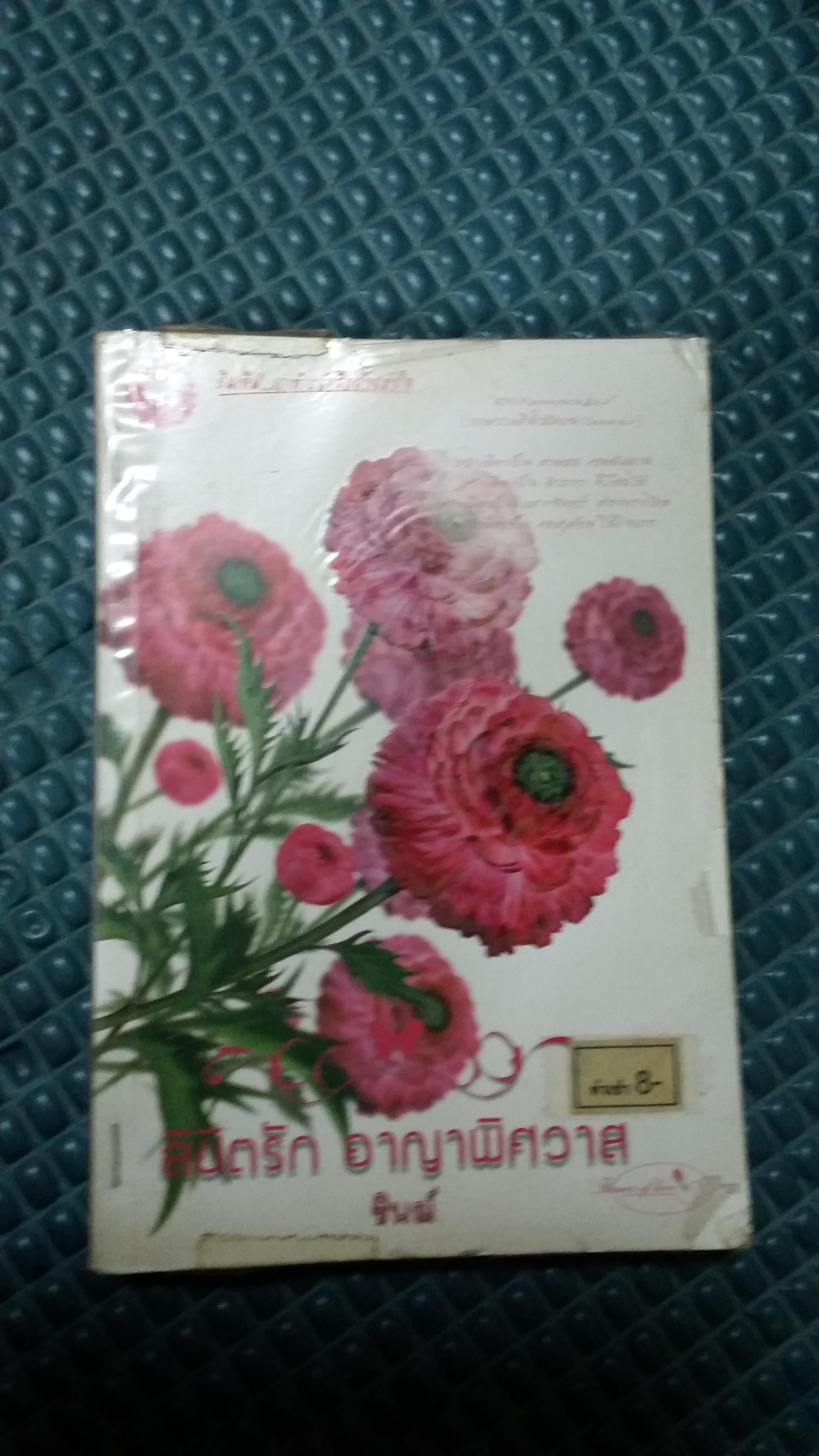ลิขิตรักอาญาพิศวาส /ชินณ์