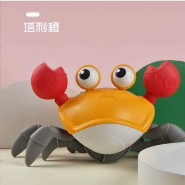 ของเล่นปูว่ายน้ำ ปูชายหาดเดินได้ น่ารักมาก พร้อมส่ง