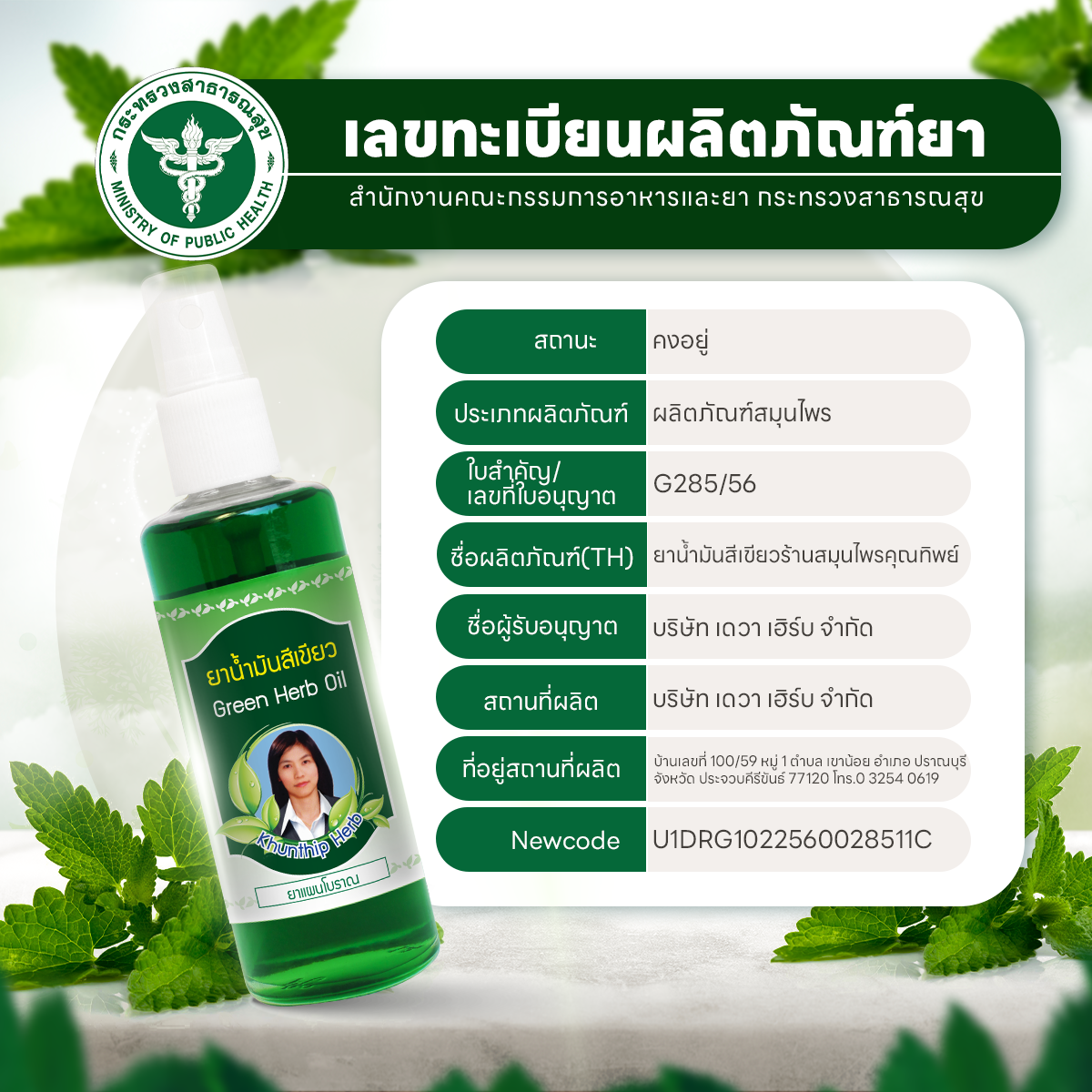 ยาน้ำมันสีเขียว ยาน้ำมันนวดสีเขียว ตราคุณทิพย์ ขนาด 50 มล.(Khunthip Ya Green Herb Oil 50ml)