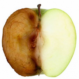 oxidative stress
