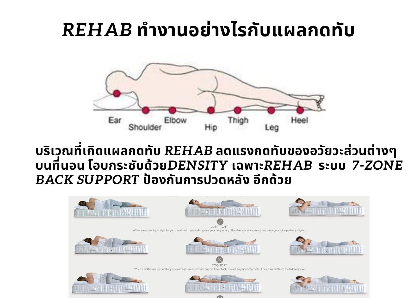 หมดปัญหาแผลกดทับด้วย Rehab ที่นอนยางพารา สำหรับเตียงคนไข้ ผู้ป่วยติดเตียง ผู้สูงอายุ ลดปัญหาการเกิดแผลกดทับแขนาด 90ซม.x200ซม.หนา5ซม.(2นิ้ว) ที่นอนยางพาราสำหรับคนป่วย รุ่นกันน้ำของเหลวหุัมหนังเทียม