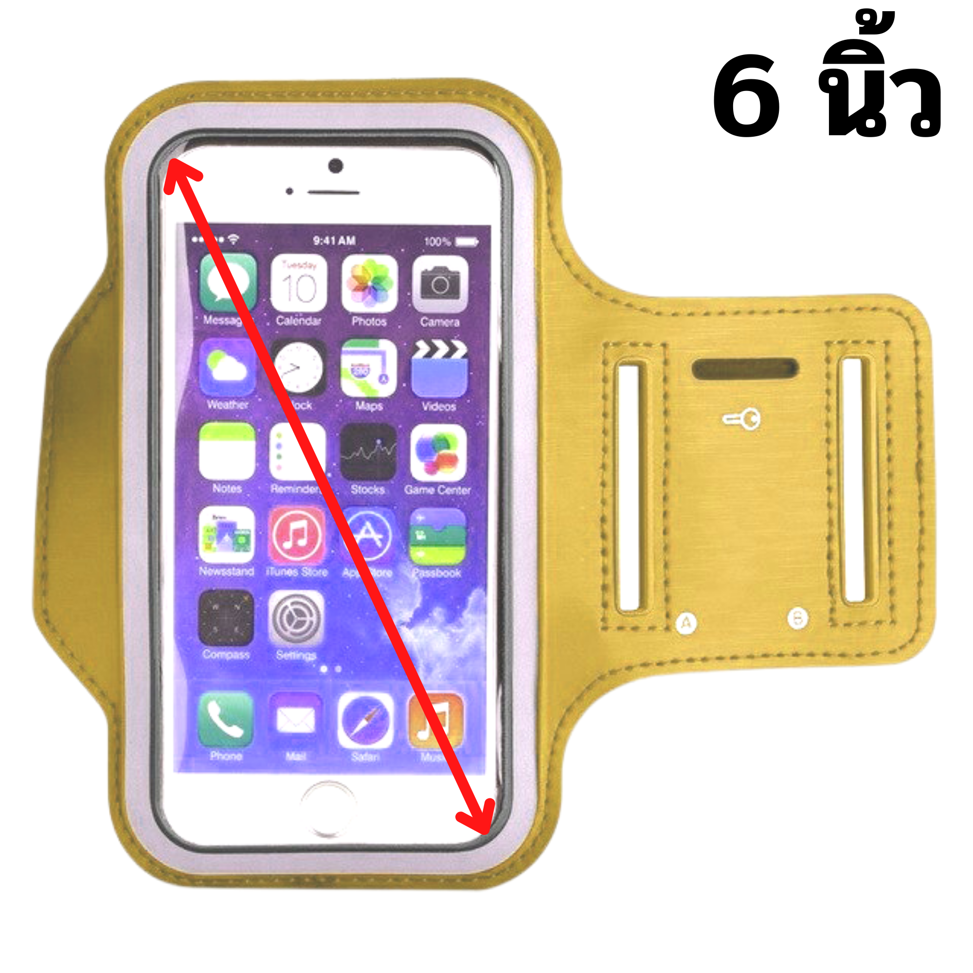 สายรัดแขนใส่มือถือ ปั่นจักรยาน วิ่ง Armband Case 5/6 นิ้ว