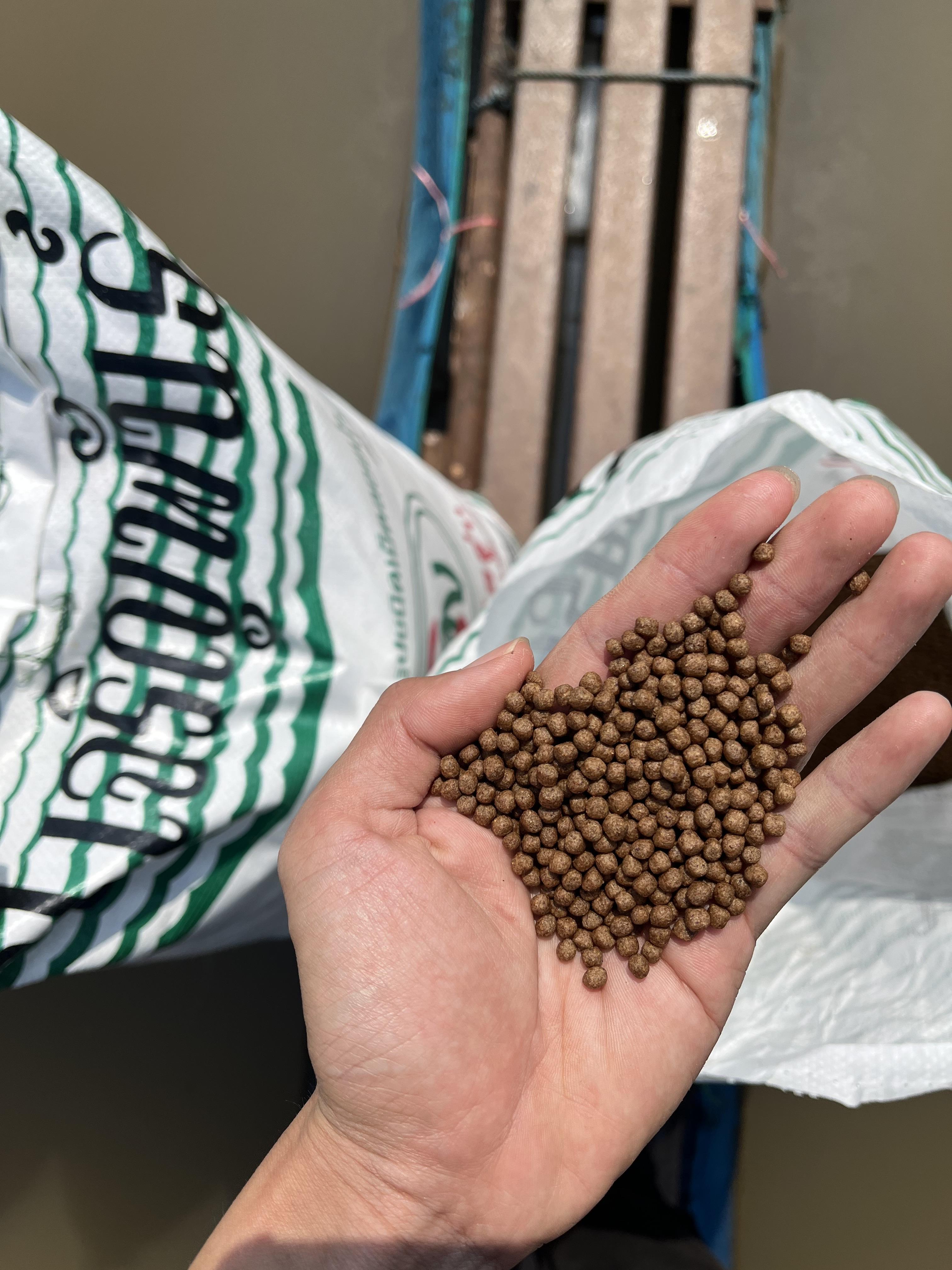 อาหารปลานิล ป.เจริญพันธ์ 832 ปลานิลกระชังระยะสอง 30 % โปรตีน