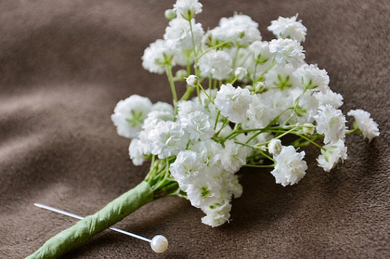 Gypsophila white Baby's Babys Breath