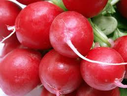 Cherry Radish Radishes Red Vegetable(40) เมล็ดราดิสเชอร์รี่ 40 เมล็ด