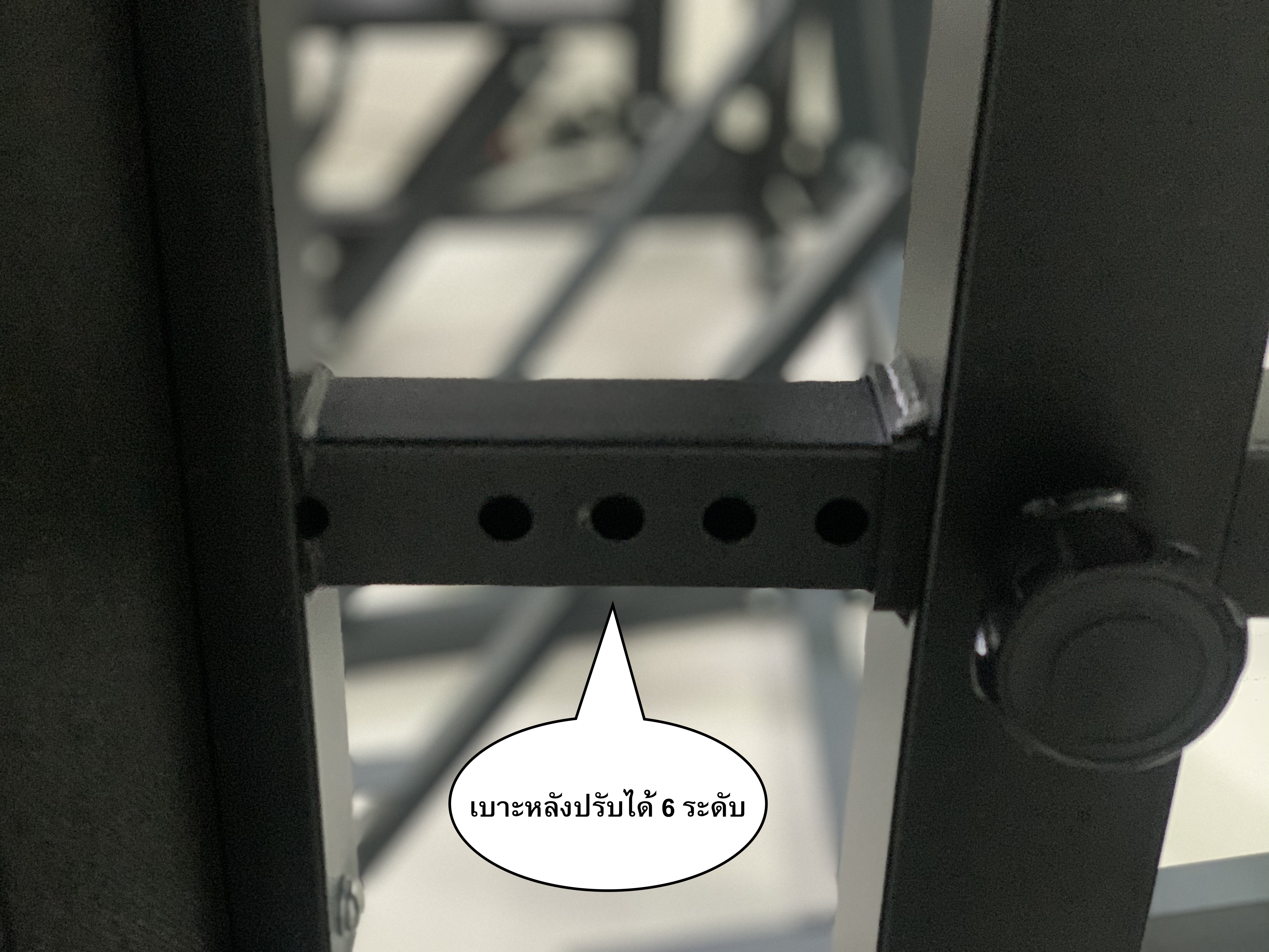 Home Gym รุ่น IRON 990