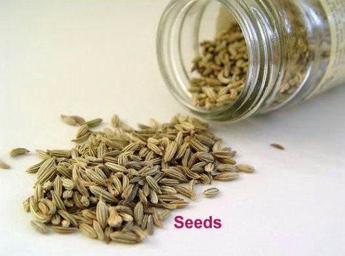 Aniseed Anise Herb Seed Anethum Whole Seeds Spice Pimpinella anisum